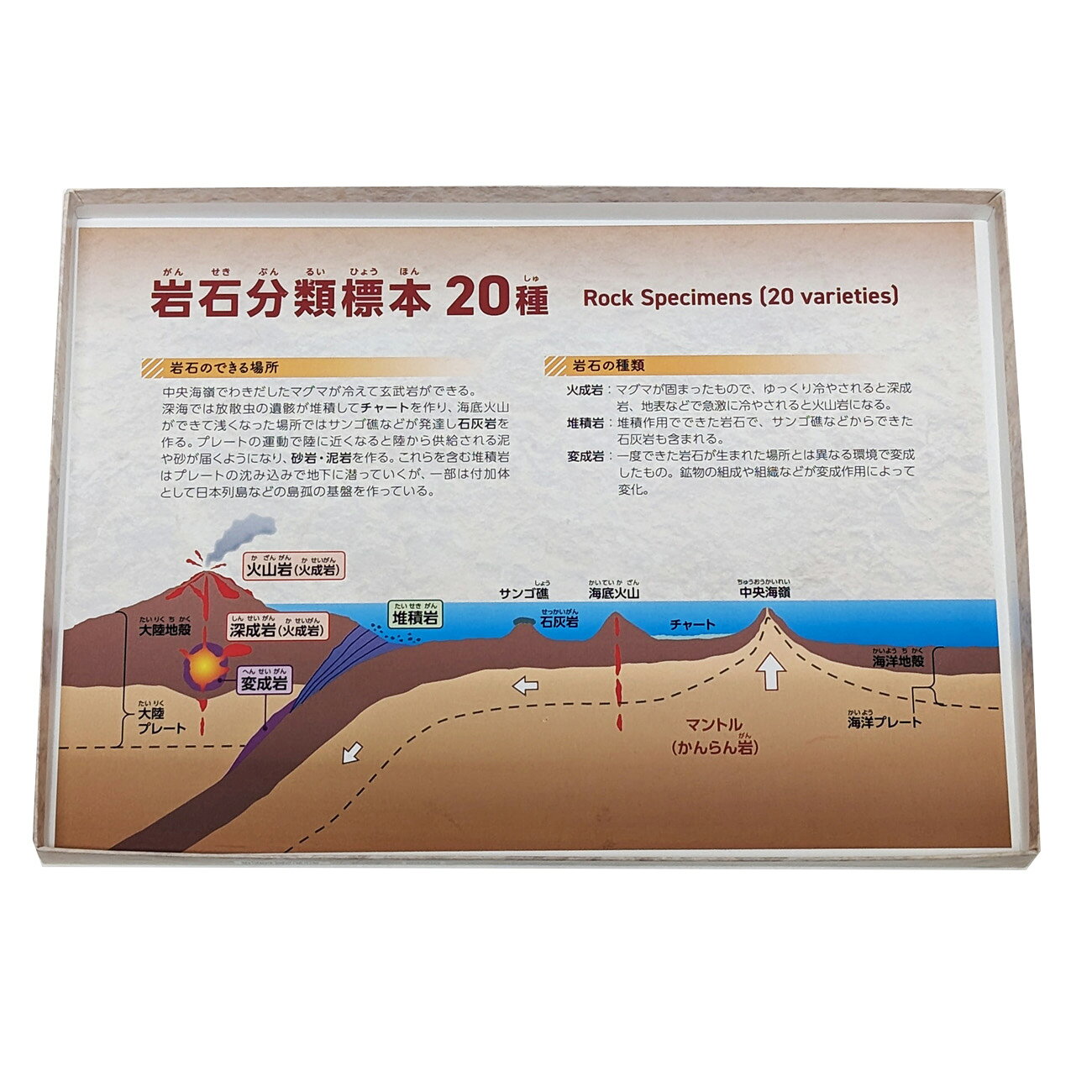 ���� ʬ�� ɸ�� TR-20 ����ɸ�� 20��