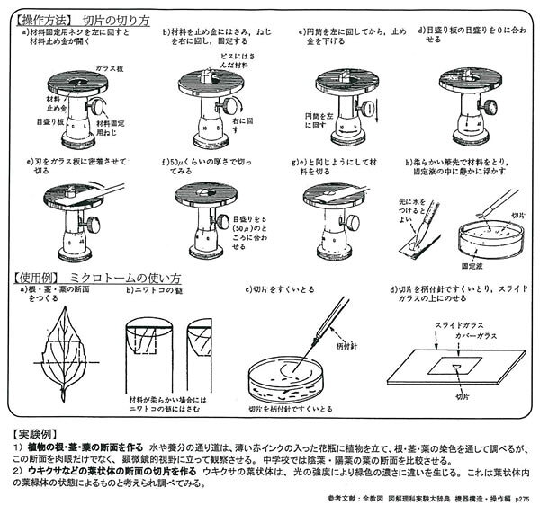 ユニオンクリエイトのニワトコ芯 ピス 10本組｜アングル2