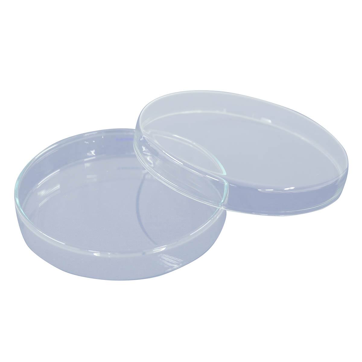 ���㡼�� NOR-150 �ڥȥ껮