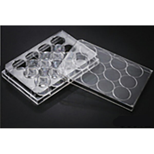 セルカルチャープレート 細胞培養 プレート 30012 50枚 滅菌済 ケニス 3-361-0601(4.0)