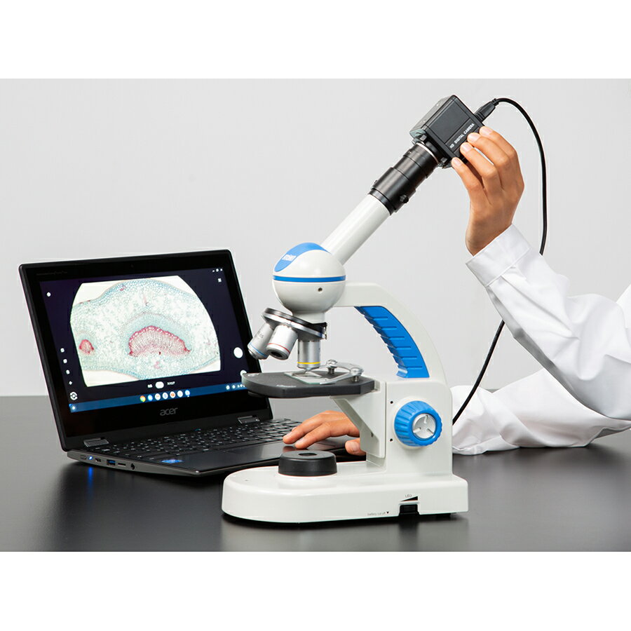 ���� �¸� ���� �ѻ� ����� ToruSee motte�� USB ����� E31-7375-02