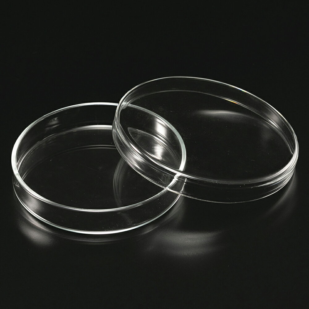 㡼 ڥȥ껮 Ƹ 8018mm