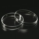 シャーレ ペトリ皿 焼口 φ100×23mm