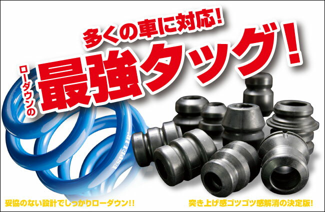 [ESPELIR]NZE141/ZRE142 カローラアクシオ(2WD)用スーパーダウンサス+バンプラバー