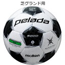 サッカーボール 5号球 モルテン molten ペレーダ pelada 5000 芝用 f5l5000