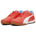 プレッシング IV IT 【puma プーマ】 フットサルシューズ 室内用 107419-06