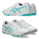 DS LIGHT JR GS TF 【アシックス asics】 ジュニアトレーニングシューズ 1104A053-100