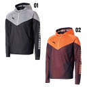 【ラスト1点 Sサイズ】 プーマ puma FUSSBAL HYBRID 1/4 ジップトップ 658013
