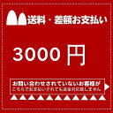 差額支払いページ_3000円