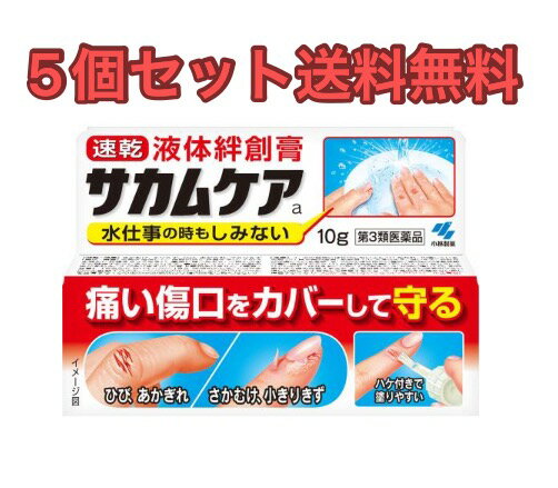 【5個セット送料無料】サカムケアa 10g【第3類医薬品】