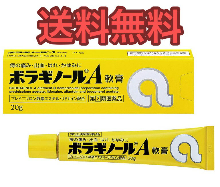 【送料無料】ボラギノールA軟膏 20g【第(2)類医薬品】【4987978101037】