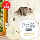 【3枚セット】キャットタワー専用 アクリル棚板 (クリア) 本体別売り 日本メーカー 送料無料 窓際 出窓 透明 スケルトン 肉球 キャットステップ 洗える 北...