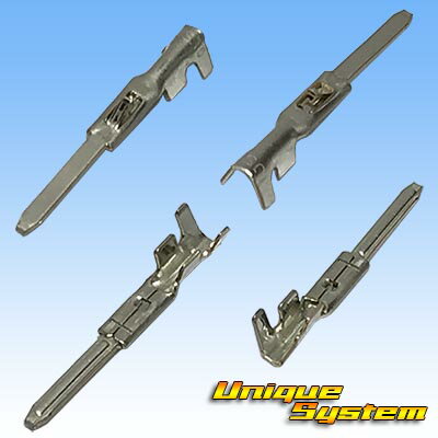 JST 日本圧着端子製造 SM 2極 オスカプラー・端子セット (リセプタクルハウジング)