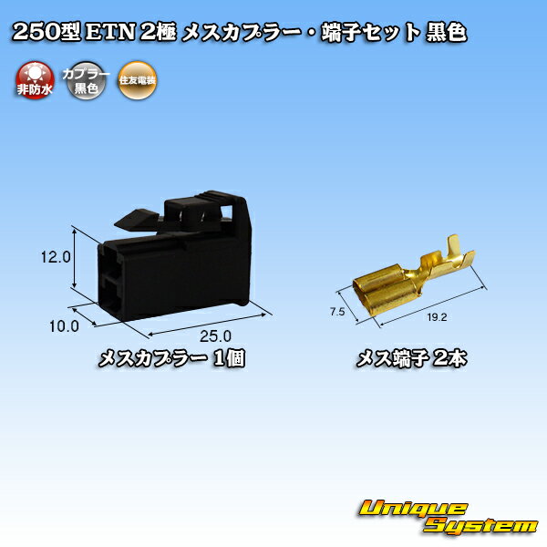 ZFd 250^ ETN 2 XJv[E[qZbg F