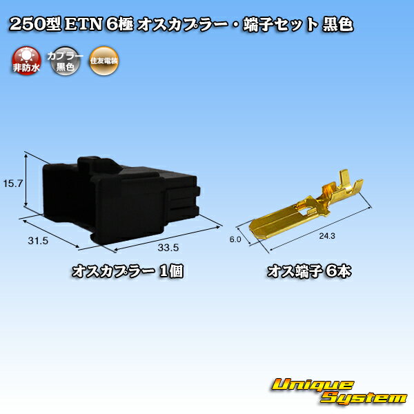 ZFd 250^ ETN 6 IXJv[E[qZbg F