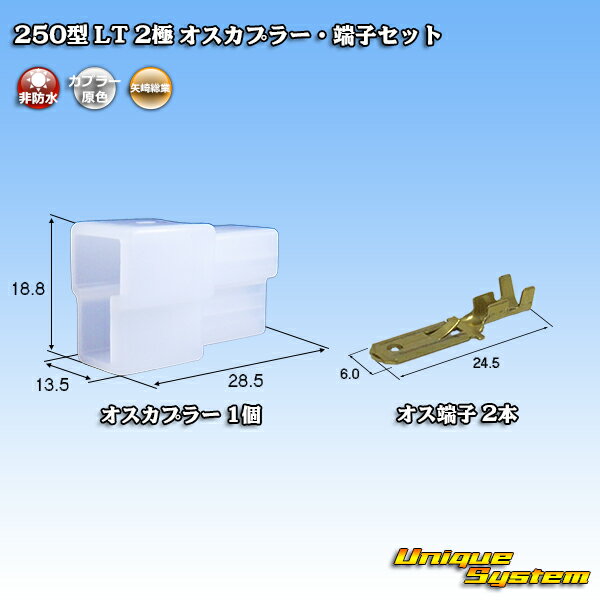 ZFd 250^ LT 2 IXJv[E[qZbg