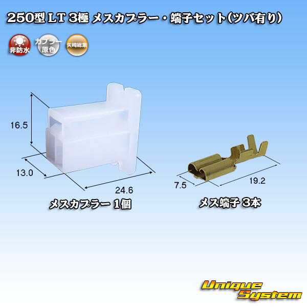 ZFd 250^ LT 3 XJv[E[qZbg(coL)