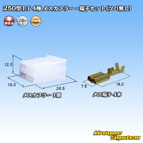 ZFd 250^ LT 4 XJv[E[qZbg(co)