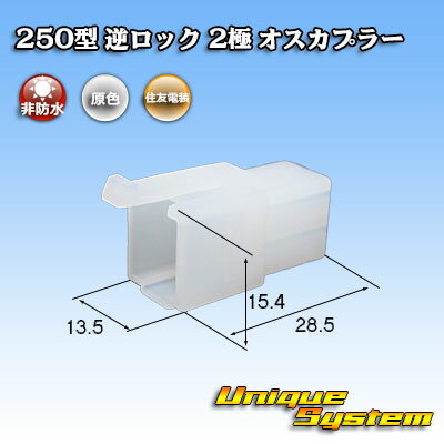 ͧ 250 եå 2 ץ顼