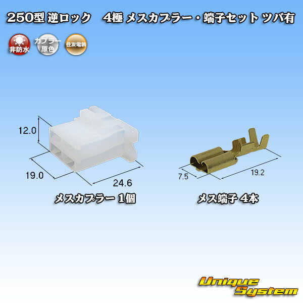 ͧ 250 եå ĥФ 4 ᥹ץ顼üҥå