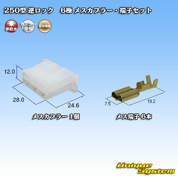 ͧ 250 եå 6 ᥹ץ顼üҥå