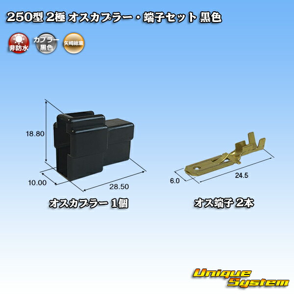 葍 250^ CN(A) 2 IXJv[E[qZbg F