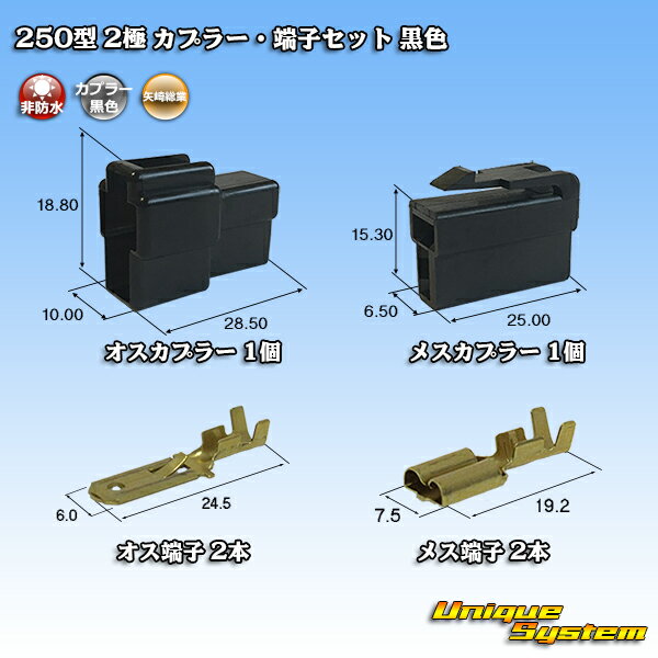 矢崎総業 250型 CN(A) 2極 カプラー 端子セット 黒色