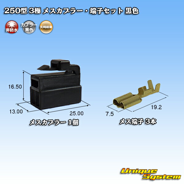 葍 250^ CN(A) 3 XJv[E[qZbg F