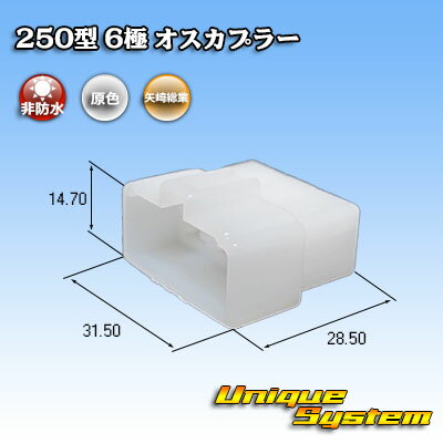 矢崎総業 250型 CN(A) 6極 オスカプラー