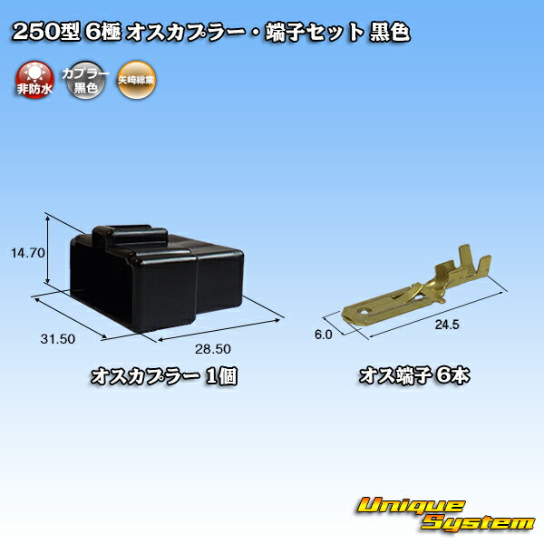 葍 250^ CN(A) 6 IXJv[E[qZbg F