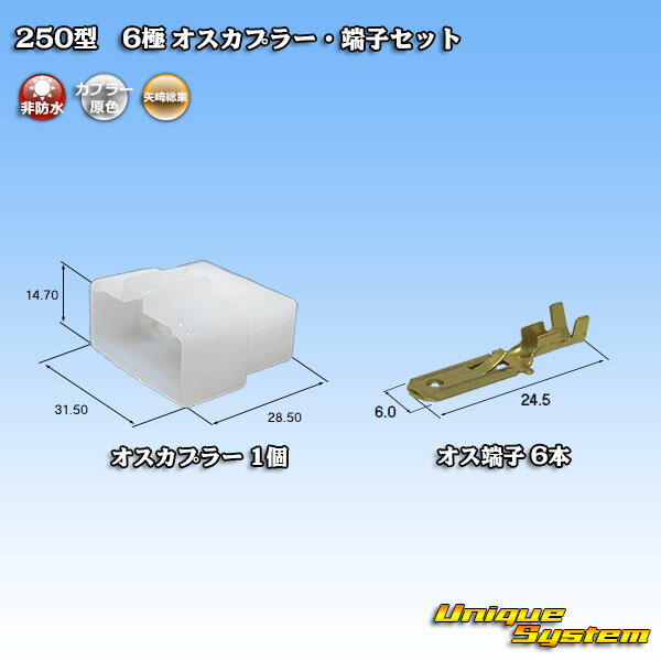 葍 250^ CN(A) 6 IXJv[E[qZbg