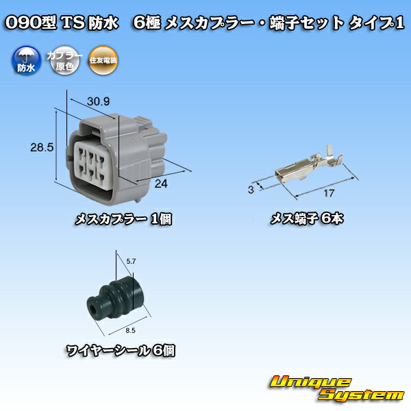 ZFd 090^ TS h 6 XJv[E[qZbg ^Cv1