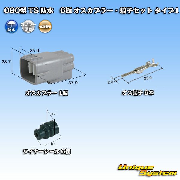 ZFd 090^ TS h 6 IXJv[E[qZbg ^Cv1