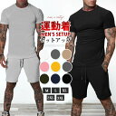 ジャージ メンズ 上下 スウェット セットアップ tシャツハーフパンツ トレーニングウェア スポーツウェア ルームウェア カジュアル 無地 学生 通勤通学