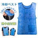 ひんやり 冷却 ベスト メンズ レディース 冷感 空調服 熱中症 猛暑対策 冷却服 ひんやりグッズ 保冷 工事現場 工場内 屋外 スポーツ 大きいサイズ クール...