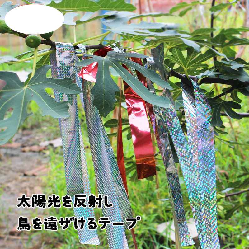 Ļ�褱�ơ��� Ļ�� �ơ��� 50m ���饭��ơ��� ȷ�褱 ���饹�褱 ���餹���� ���饹�к� Ļ���к� ��� ��Ļ �ߤ겼���� �� �����ǥ� �ե� �ڱ� �̼� ��Ȫ ���� Ļ�к� �Ȥ�褱 ����̵�� ��ڤǴ�ñ