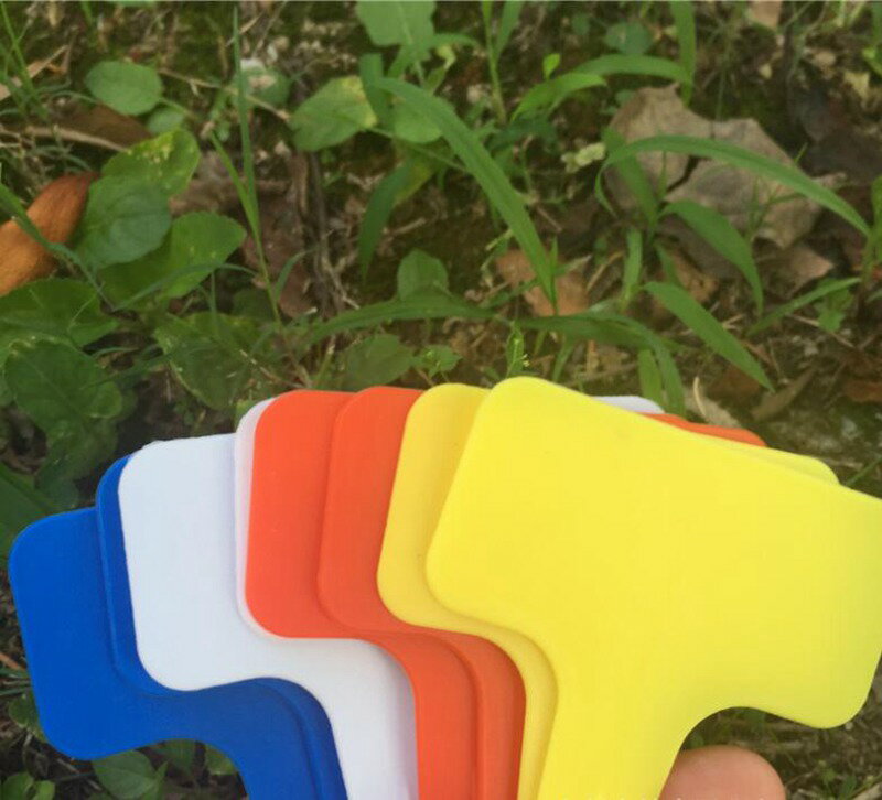 ����ѥ�٥� ��ʪ���� ��ʪ��٥� �ߺϥ��� �͡���ץ졼�� �����ǥ˥� Ω�� T�� ���� ����ȭ ���� �����ڱ� �ɿ� �ѵ��� �ץ饹���å� �� ��ʪ ���̾ 100�祻�å� 5�� �����٤�