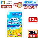 \8月15日限定!P5倍&300円OFFクーポン/【まとめ買い*12袋セット】チャームナップ 吸水さらフィ 少量用スリム 15cc 羽なし 19cm 1パック(32枚入)ユニ・チャーム