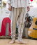 POINT2ܡۡSTOFȥաFolklore stripe sarouel pants 륨ѥ(SF23SS-09)(2