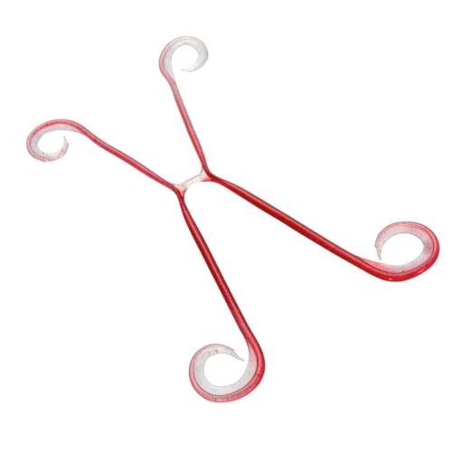 シマノ(SHIMANO) タイラバ 炎月 集魚ネクタイ イカタコ4 ED-V01U 012 レッド/グロー