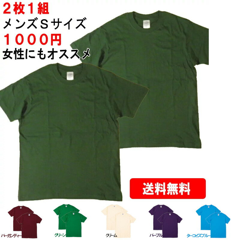 無地Tシャツ 2枚1組 無地ボディー 4.0オンス ライトウエイト 薄手 コットン 半袖 ダークグリーン バーガンディー クリーム パープル ターコイズブルー アウトレット品 1000円ポッキリ メンズ Sサイズ レディース兼用 メール便ネコポス送料無料