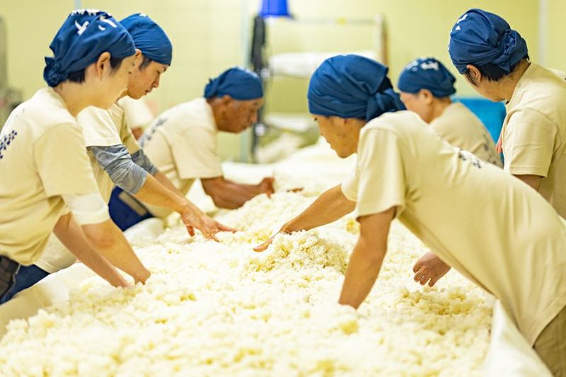 ユナイテッド コレクションの【80本（1ケース40本入×2ケース）】甘酒+ヨーグルト西山酒造場 糀甘酒×丹波 新鮮 糀甘酒 飲む点滴 ブドウ糖 脳 栄養補給 疲労回復 必須アミノ酸 ビタミンB 体作り 食物繊維 コウジ酸 フェルラ酸 整腸 カルシウム プレゼント 父の日 母の日 敬老 進物 中元 歳暮｜アングル3