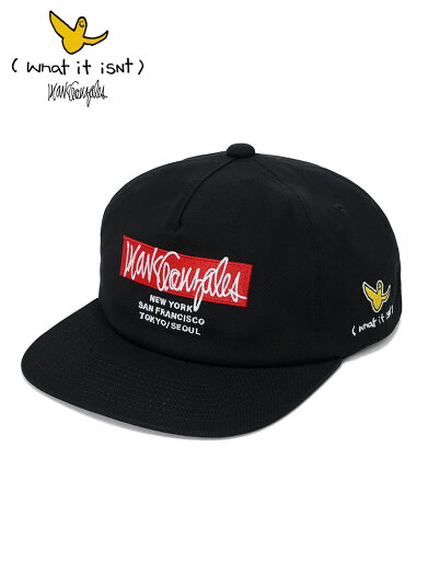 マークゴンザレス (What it isNt) ボックスロゴツアーフラットキャップ スケーター SK8 ストリート フェス イベント ART BY MARK GONZALES マークゴンザレス (What it isNt) ボックスロゴツアーフラットキャップ スケーター SK8 ストリート フェス イベント ART BY MARK GONZALES