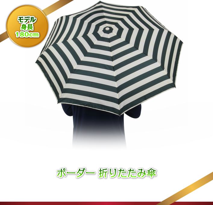 自動開閉 折りたたみ傘 【送料無料】 ボーダー 雨傘【代引き不可】