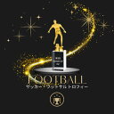 サッカー フットサル トロフィー 楯 文字入れ 可能 水晶 クリスタル 透明 金 MVP カップ 表彰楯 賞状楯 賞状 記念楯 優勝 06