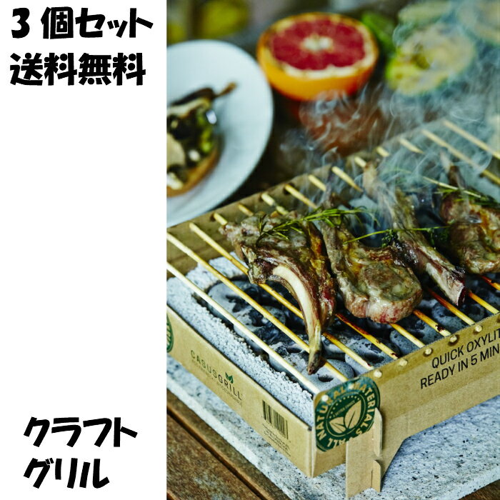 クラフトグリル 3個セット 使い捨てグリル バーベキュー 5分で着火 Casus Grill カサスグリル BBQ 簡単 お手軽 簡単 便利グッズ コンロ キャンプ レジャー ベランダ 庭 アウトドア まとめ買いエコ通販格安セール情報 楽天 通販