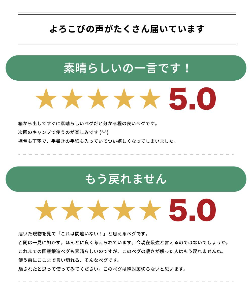 【 i-WANO × 鍛造ペグ 】 岩野ペグ 30cm 8本セット 日本製 鍛造 ペグ 30 ヘッドが大きく打ち込みやすい 硬い地面でもぐいぐい打てる 耐食性 高い防錆能力 カチオン電着塗装 ( キャンプ アウトドア 登山 砂浜 河原 テント タープ ほか ) ソロキャンプ にも通販格安セール情報 楽天 通販