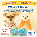 ペット おもちゃ 犬 ノーズワーク 誕生日 BOOK 嗅覚トレーニング 知育玩具 絵本型 犬おもちゃ 運動不足 お留守番 ストレス解消 おやつ隠し ペット用品 ...