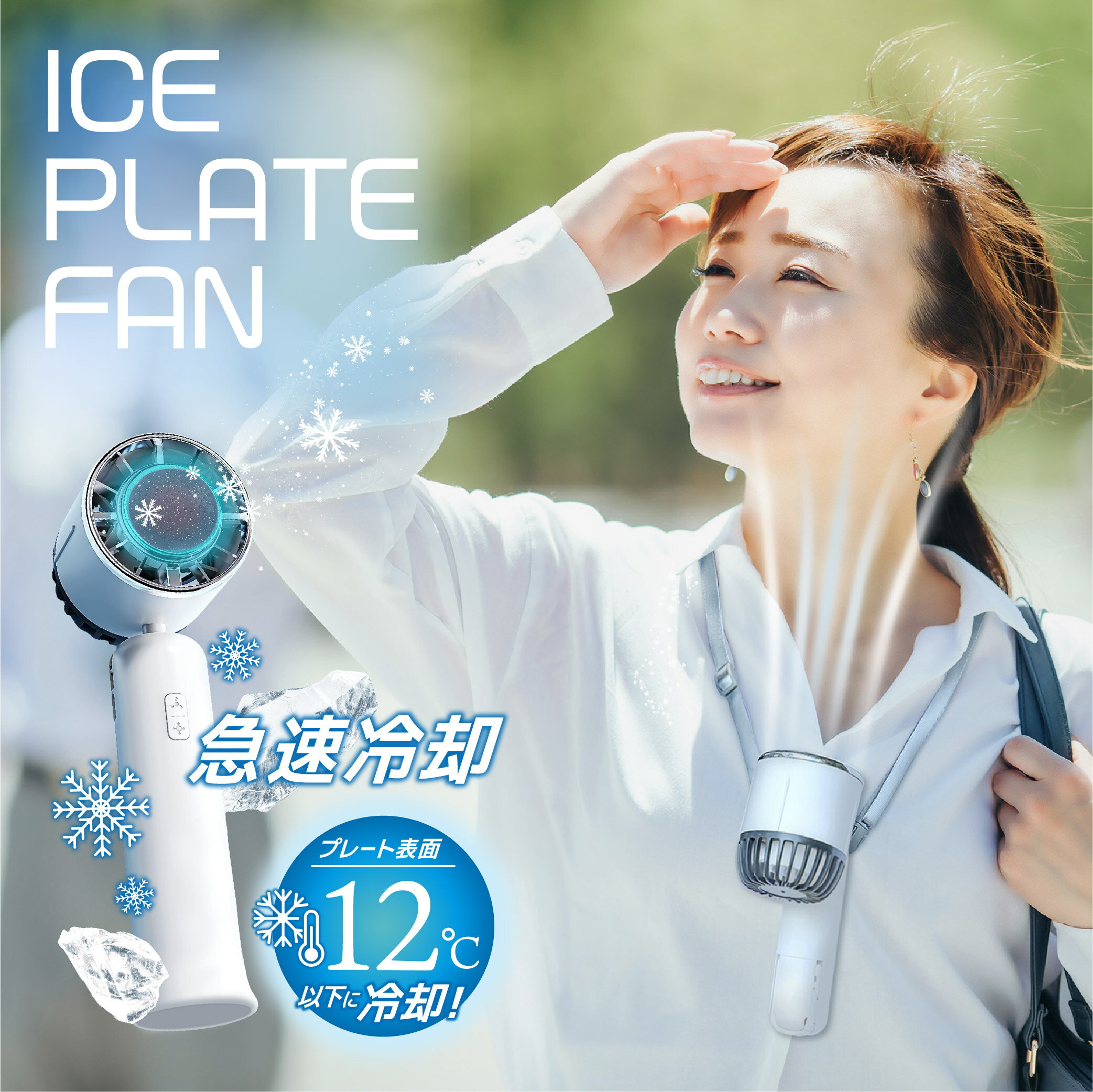 【クーポンで最安1個1980円】ICE PLATE 
