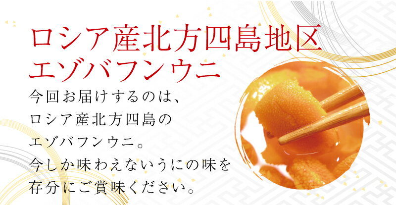 【11月15日（日）お届け限定！】ロシア産北方四島地区エゾバフンウニ生うに塩水パック　AB込品80g